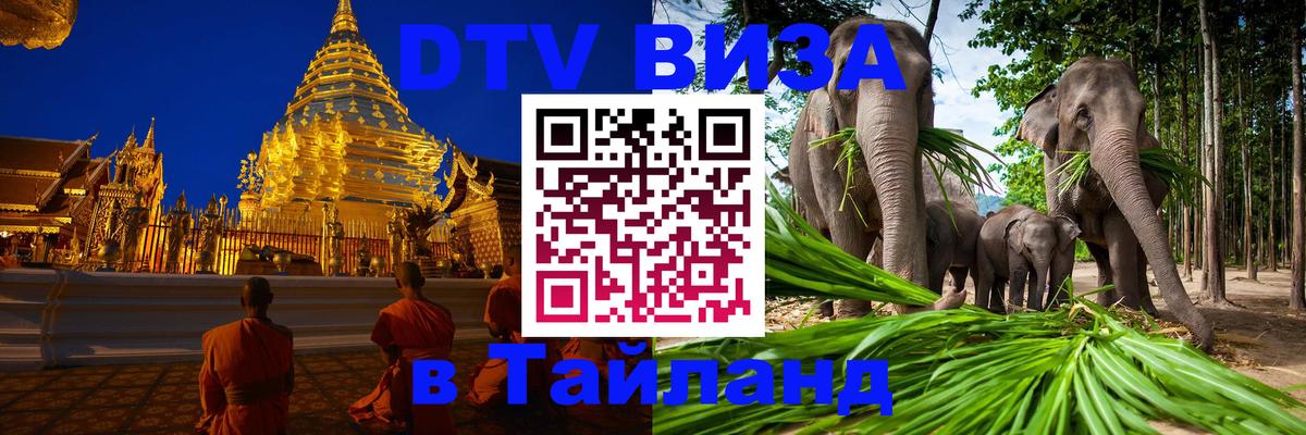 DTV Visa Тайланд купить 